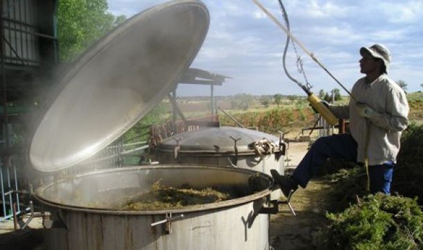 Elaboracin del producto