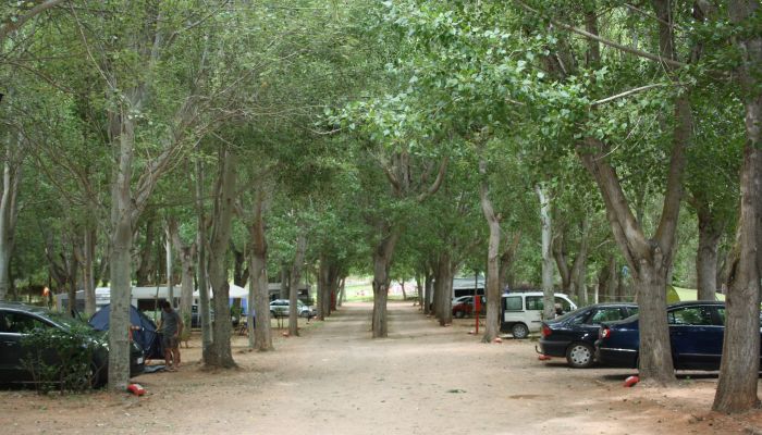 Camping Montesinos — photo 2