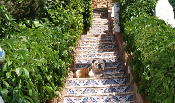 El hotel se escalona en la ladera de un cerro